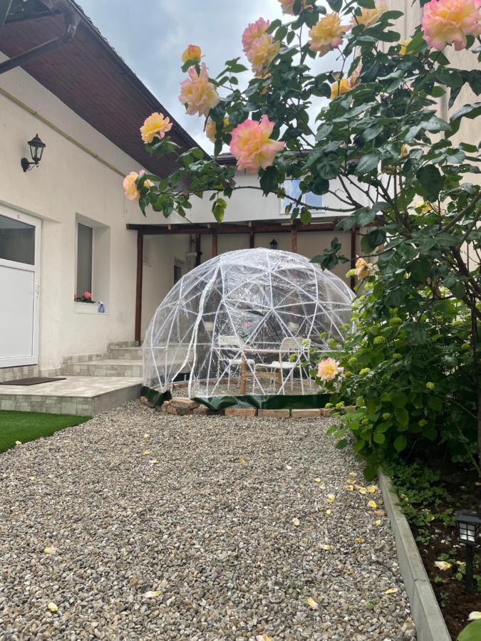 Apartament Londof Housing City Center Braszów Zewnętrze zdjęcie